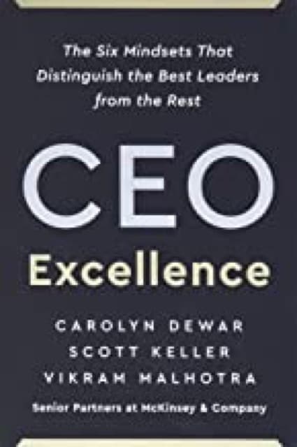 CEO Excellence book cover